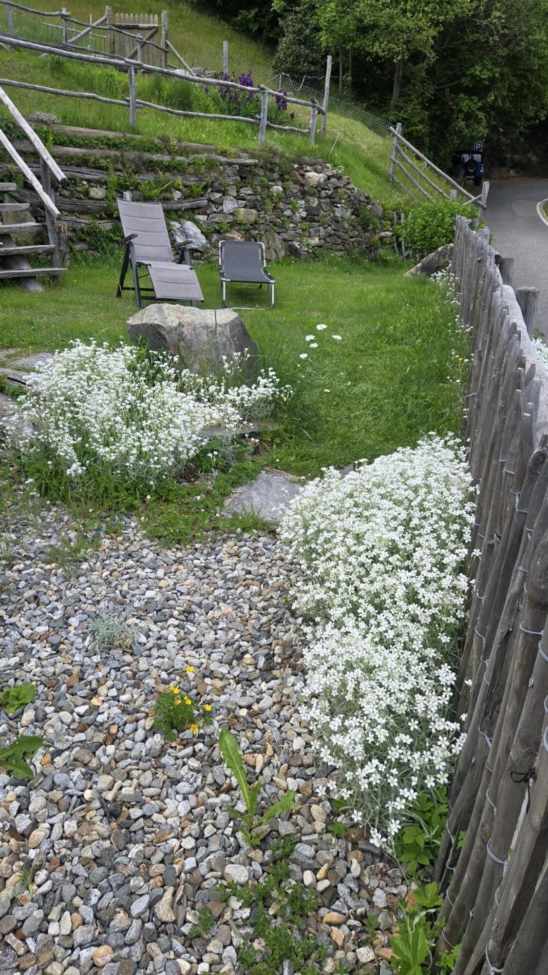 Casa Poiana Ronco sopra Ascona Quarto foto